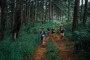 BIB: 
                            <button type="button" onclick="openModal(25660215)" class="btn btn-primary btn-sm float-right btn-popup" data-toggle="modal" data-target=".modal-high-quality">
                        <i class="fas fa-shopping-cart"></i> Add to Cart
                    </button>
                                            <button type="button" onclick="isThisMe(25660215, true)" class="btn btn-success btn-sm float-right btn-popup btn-isme hidden" data-toggle="tooltip" data-placement="bottom" title="นี่คือรูปของคุณใช่ไหม คลิกที่นี่เพื่อเอาเข้าอัลบั้ม">
                        <i class="fas fa-plus"></i> Add to album
                    </button>
                    <button type="button" onclick="isThisMe(25660215, false)" class="btn btn-warning btn-sm float-right btn-popup btn-isnotme hidden">
                        <i class="fas fa-ban"></i> Remove from album
                    </button>